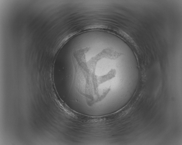 X0000067520937200604211813