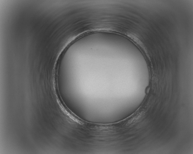 X0000067520941200604211813