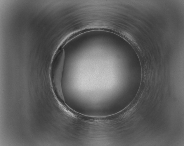 X0000067520942200604211813