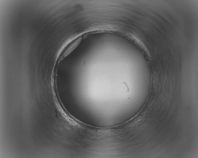 X0000067520944200604211813