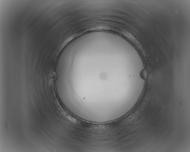 X0000067520945200604211813