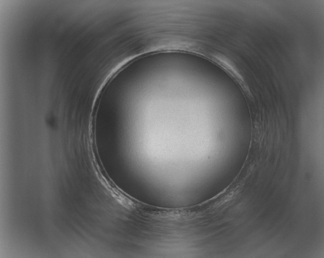 X0000067520948200604211813