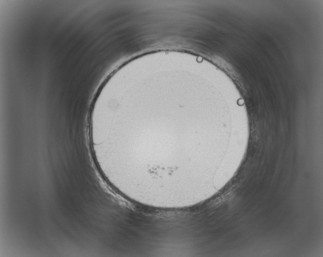 X0000067520950200604211813