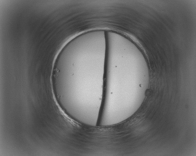 X0000067520951200604211813