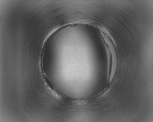 X0000067520952200604211813