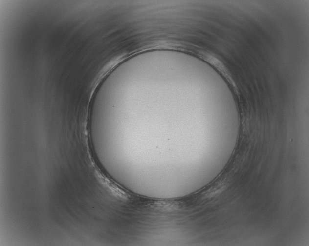 X0000067520954200604211813