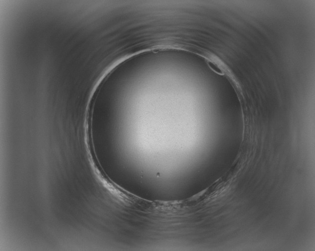 X0000067520955200604211813