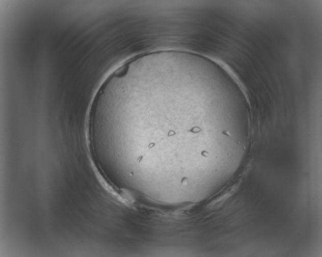 X0000067520957200604211813