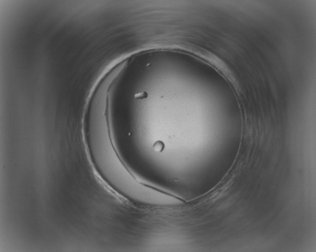 X0000067520958200604211813