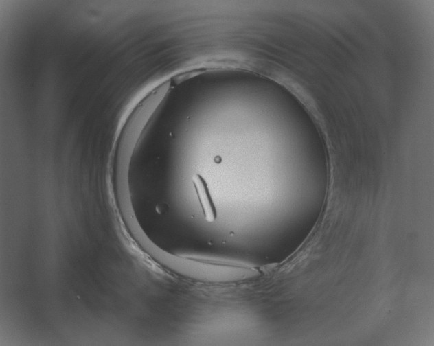 X0000067520960200604211813