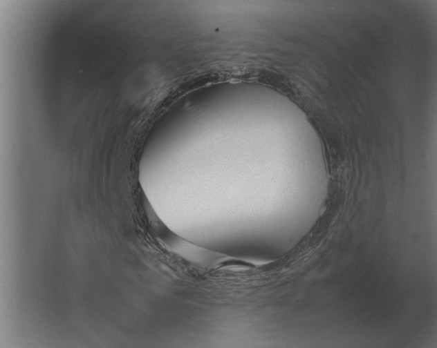 X0000067520961200604211813