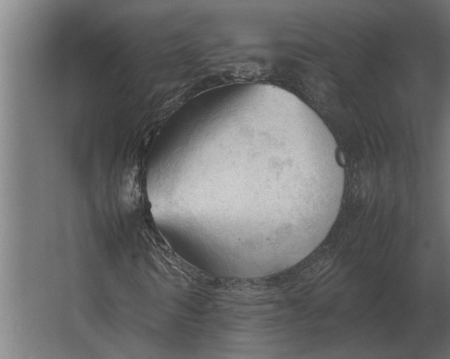 X0000067520962200604211813