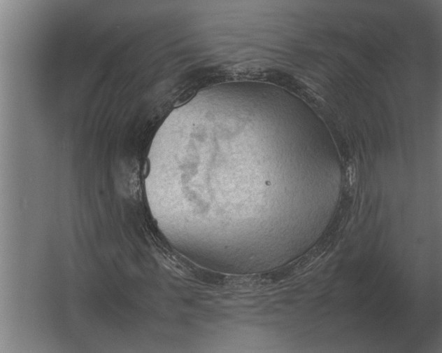 X0000067520963200604211813