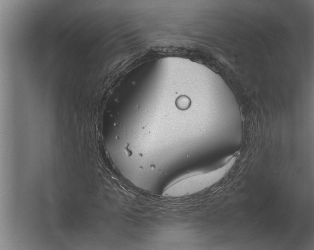 X0000067520965200604211813