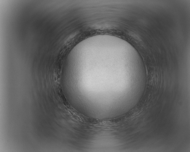 X0000067520966200604211813