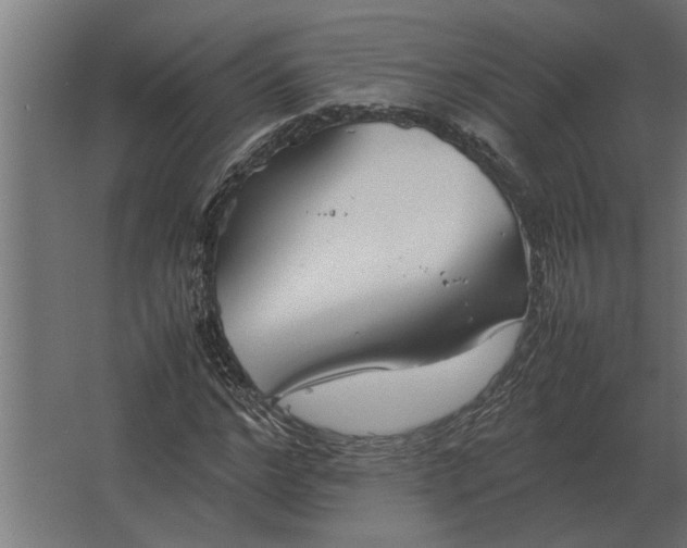 X0000067520968200604211813