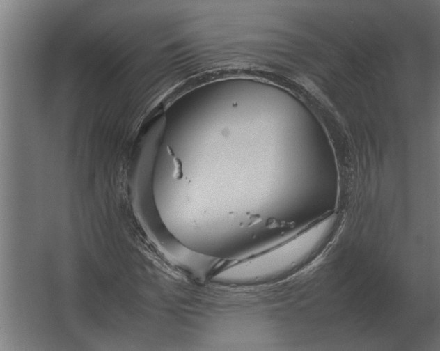 X0000067520969200604211812