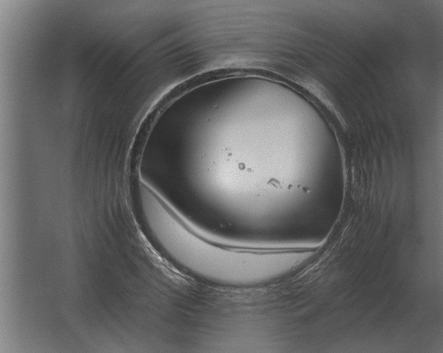 X0000067520972200604211812