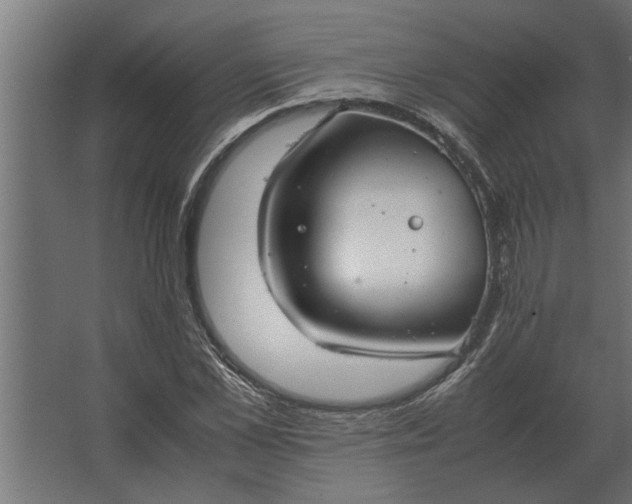 X0000067520973200604211812