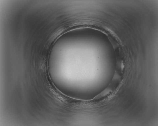 X0000067520977200604211812