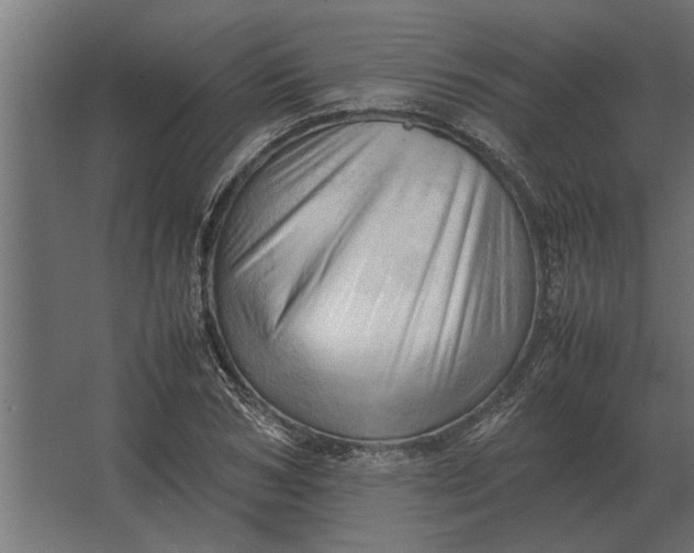 X0000067520978200604211812