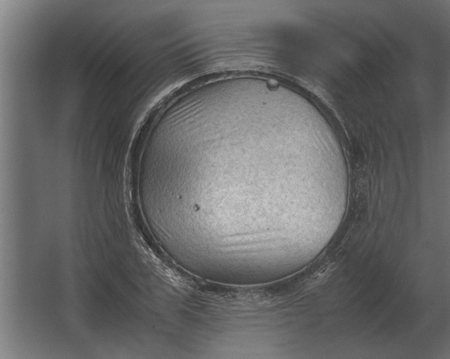 X0000067520979200604211812