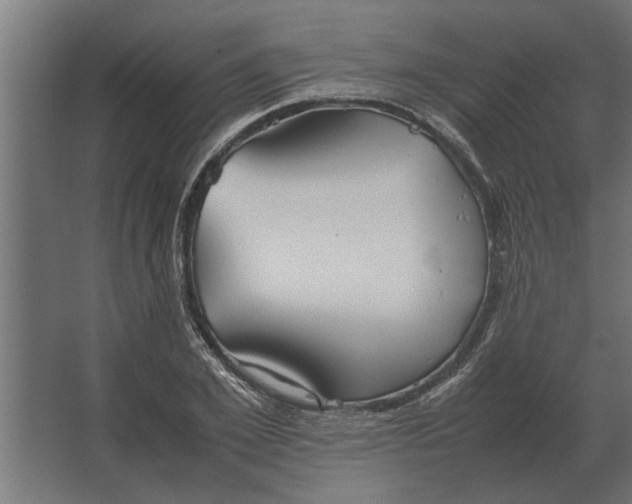 X0000067520981200604211812