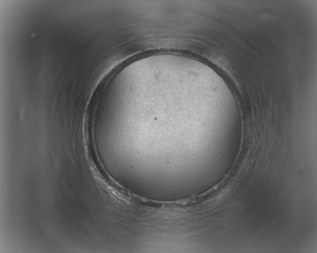 X0000067520983200604211812