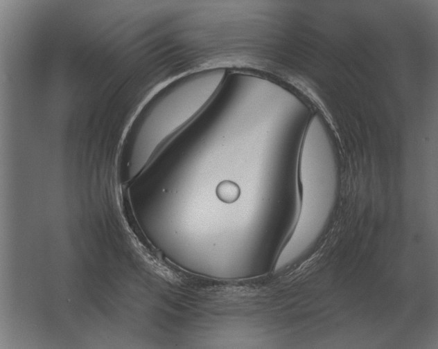 X0000067520984200604211812