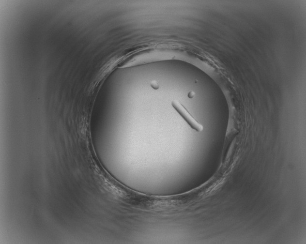 X0000067520985200604211812