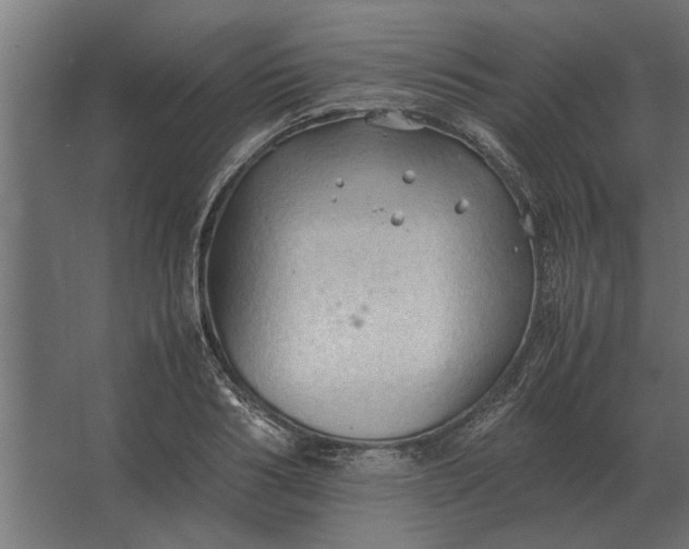 X0000067520986200604211812