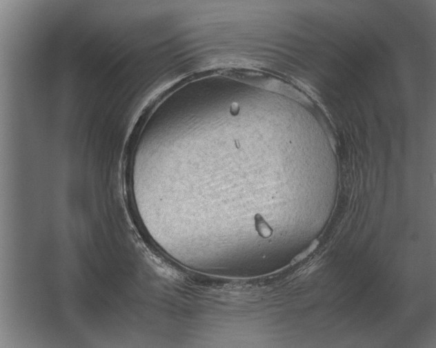 X0000067520987200604211812