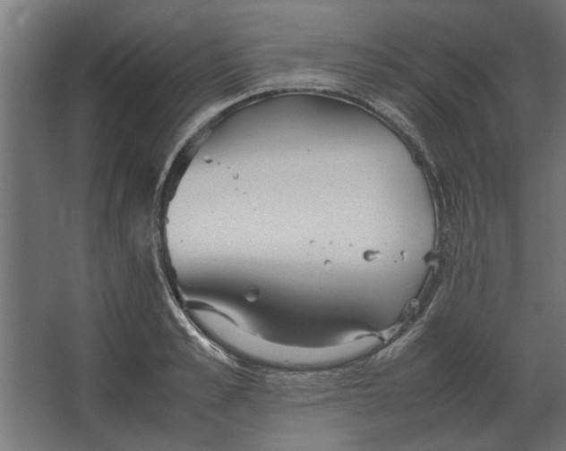 X0000067520989200604211812