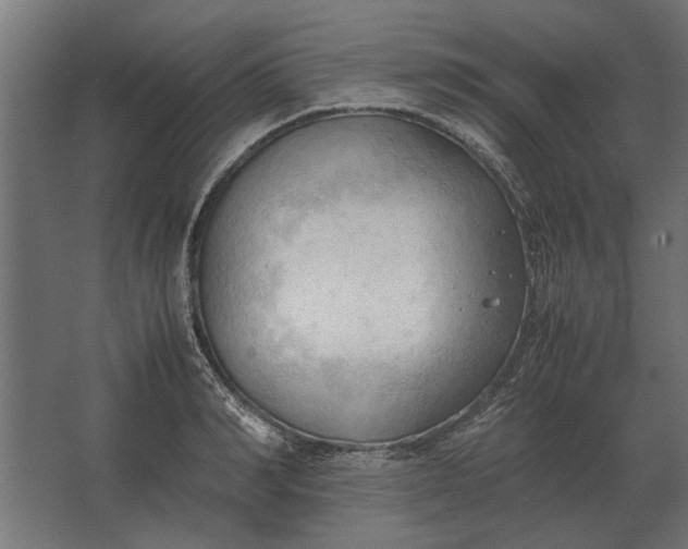 X0000067520990200604211812