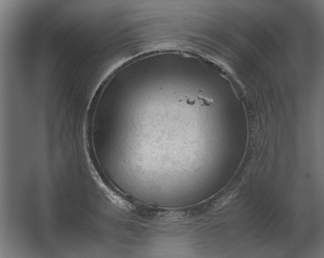 X0000067520991200604211812