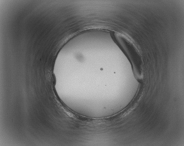 X0000067520993200604211812