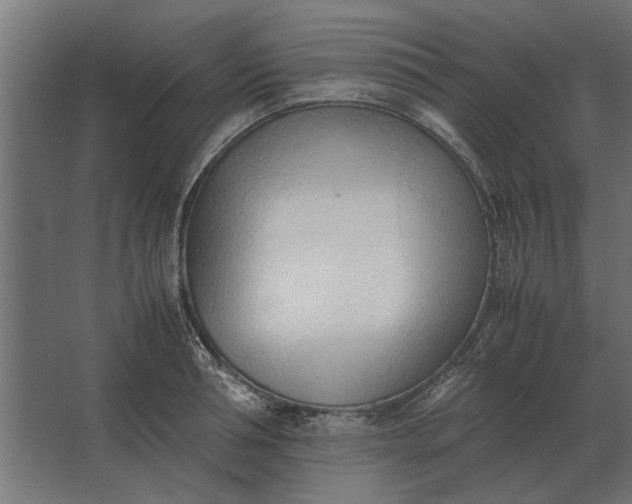 X0000067520994200604211812