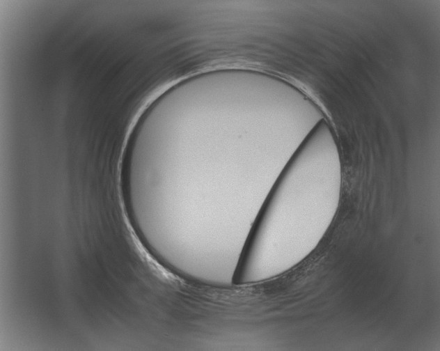 X0000067520995200604211812