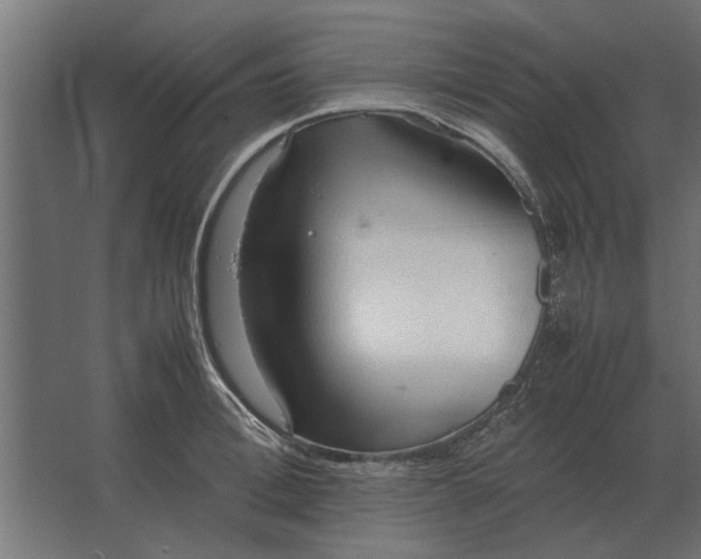 X0000067520996200604211812