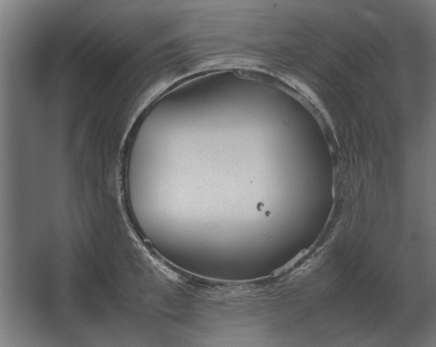 X0000067520997200604211812