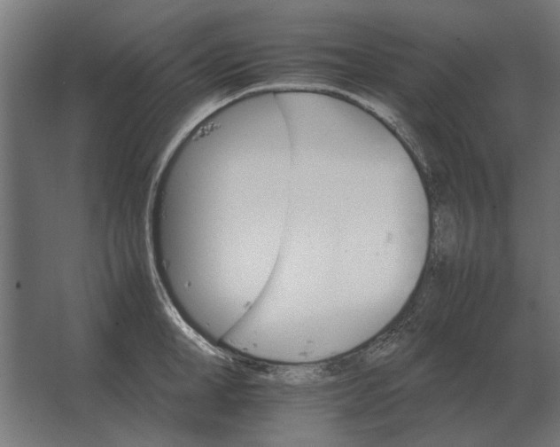 X0000067520998200604211812