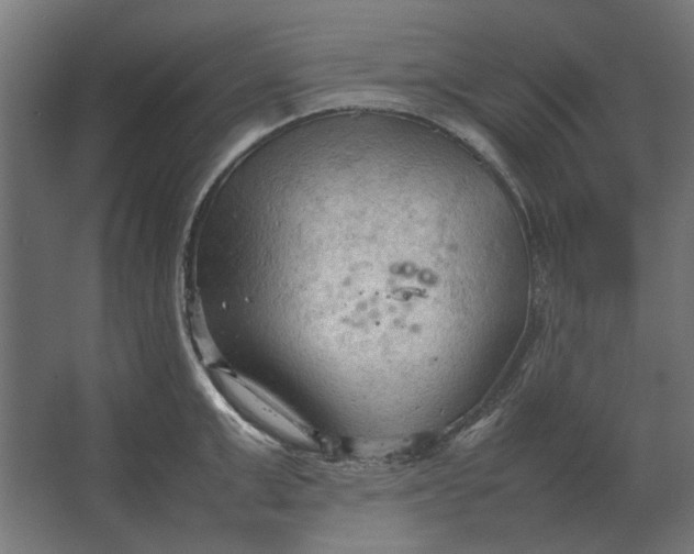 X0000067520999200604211812