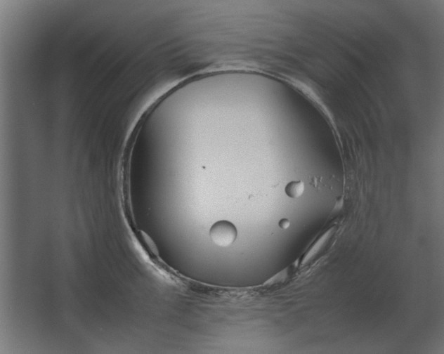 X0000067521003200604211812