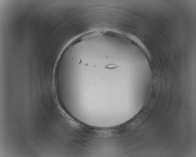 X0000067521004200604211812