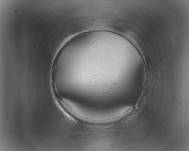 X0000067521005200604211812