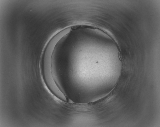 X0000067521007200604211812