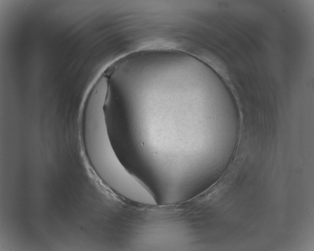 X0000067521008200604211812