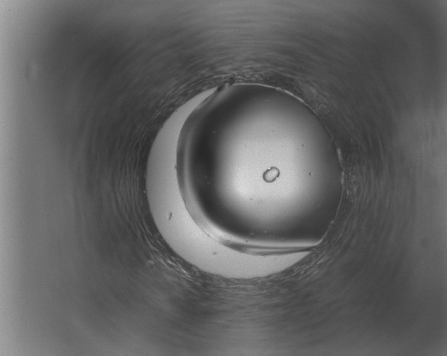 X0000067521010200604211811