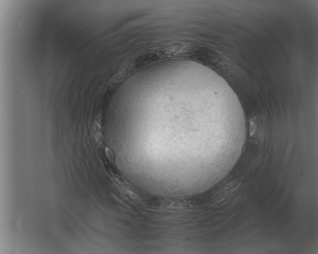 X0000067521011200604211811