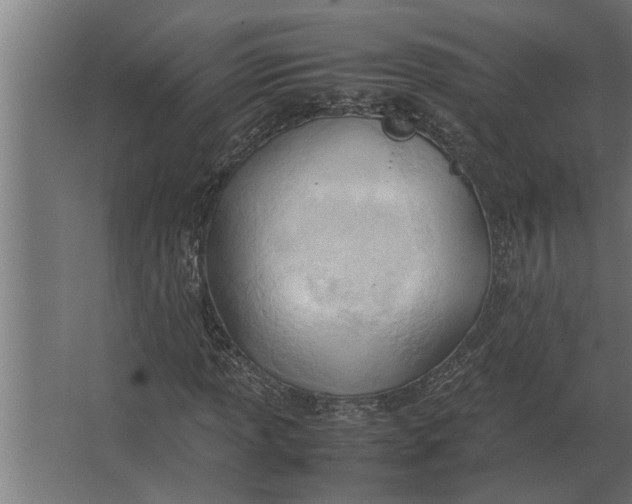 X0000067521013200604211811